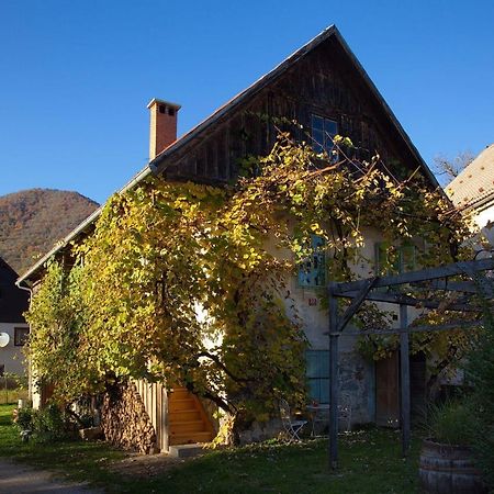 Vintage House Podliparska Vendégház Fara Kültér fotó