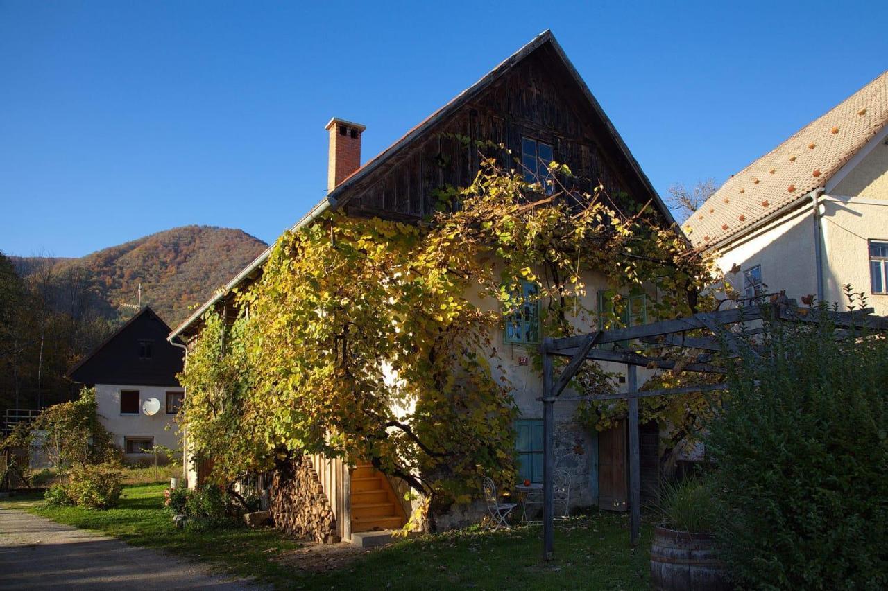 Vintage House Podliparska Vendégház Fara Kültér fotó